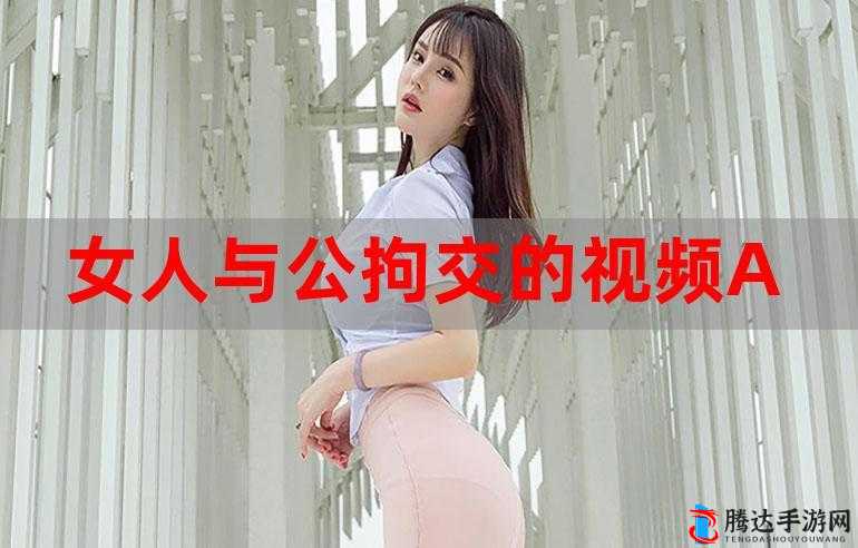 女人与公拘i交酡i：探索未知的性领域