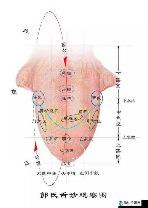 40 岁男人舌头很厉害：这背后隐藏着怎样的秘密和魅力