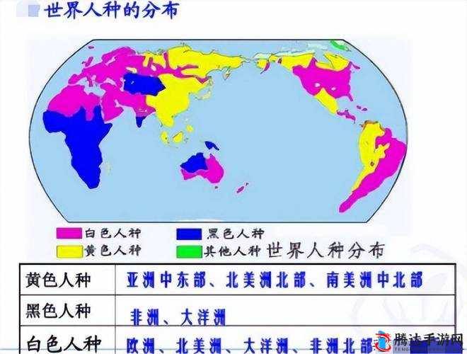 全球三大洲入口比例大揭秘