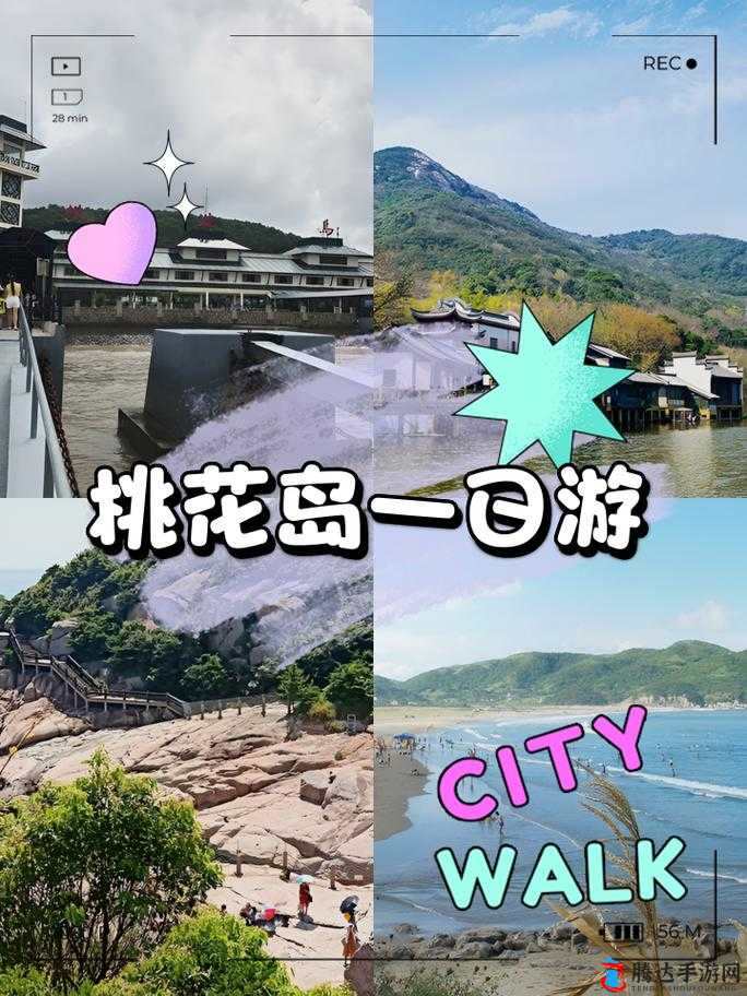 桃花岛 cm7：探索神秘岛屿的冒险之旅