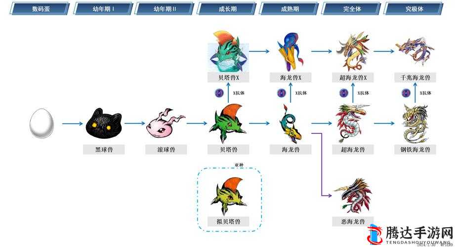 数码宝贝新世纪探索，南瓜兽的奇妙进化之旅与全面进化体系解析