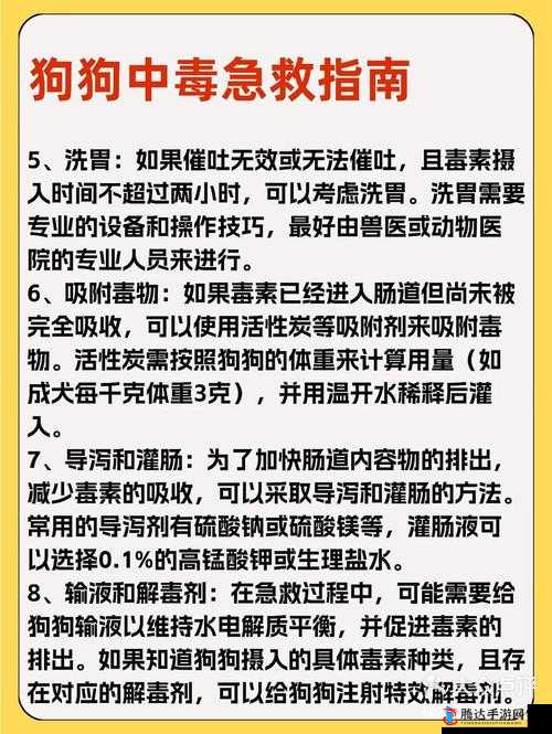 狗狗射速太快对女生有伤害吗？专家解析与安全建议