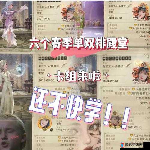 哈利波特魔法觉醒双子回响完美搭配攻略，构建高效卡组策略